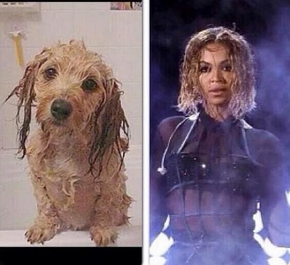 Beyonce Stepped Right Out Of Her Video…