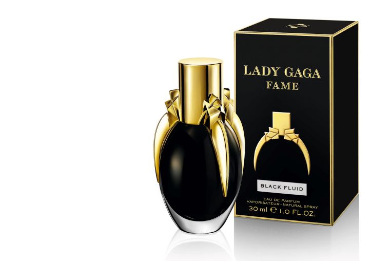 Lady Gaga Fame