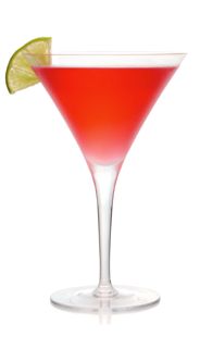 Agave-Tini