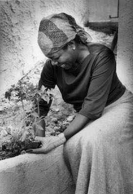 Maya Angelou Her Beauty In Her Words Hellobeautiful