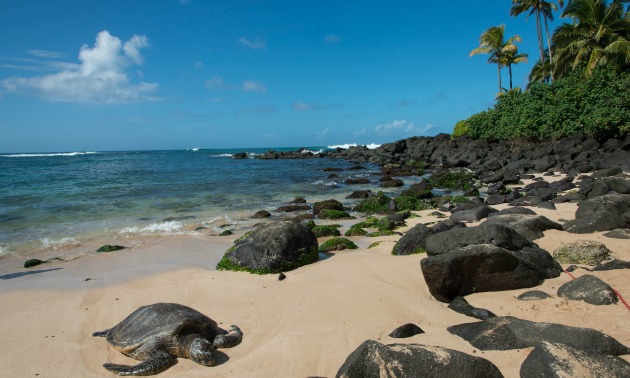 Bucket List Checklist