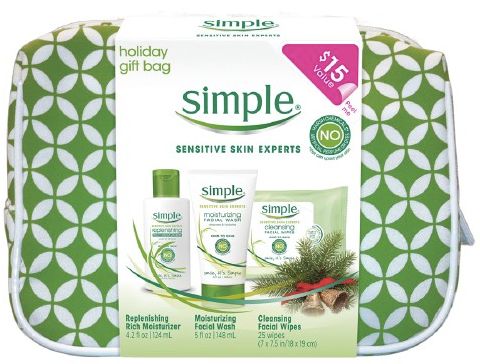 Simple Holiday Gift Bag