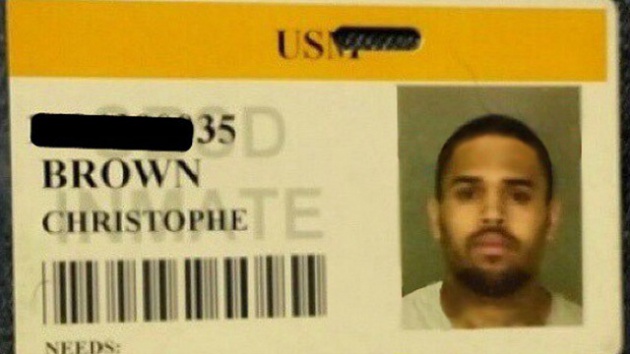 chris-brown-id