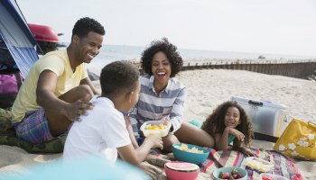 Family picnicking on beach
