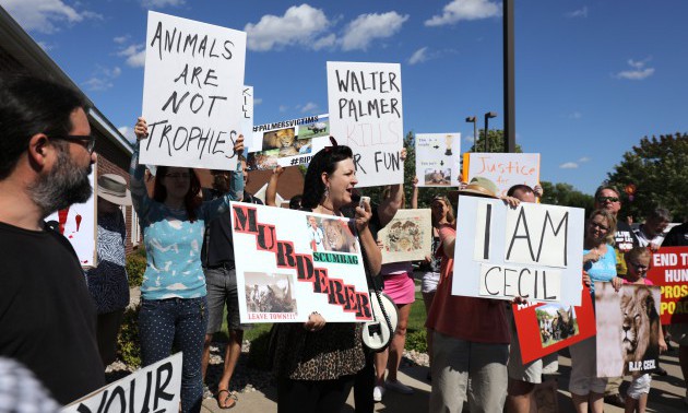 Memorial And Protest Held At Office Of Minnesota Dentist That Killed Famed Lion In Zimbabwe