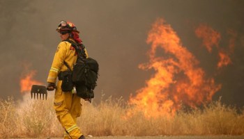 Rocky Fire Grows To 23,000 Acres In Drought-Ridden Northern California