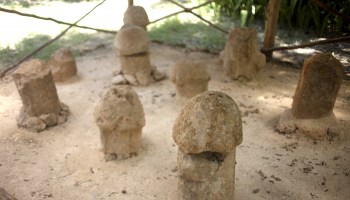 Stone sculptures of penises are displayed in the Mayan city of Uxmal, Yucatan Peninsula, Mexico