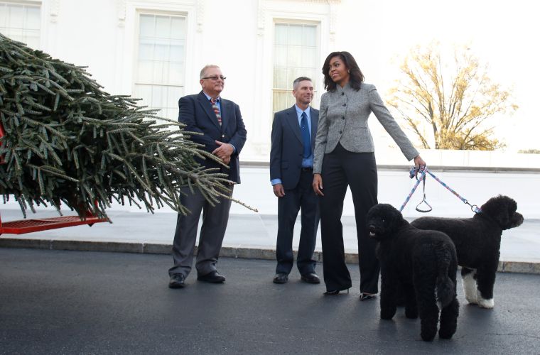 Celeb Pics Of The Week 11/21-11-27