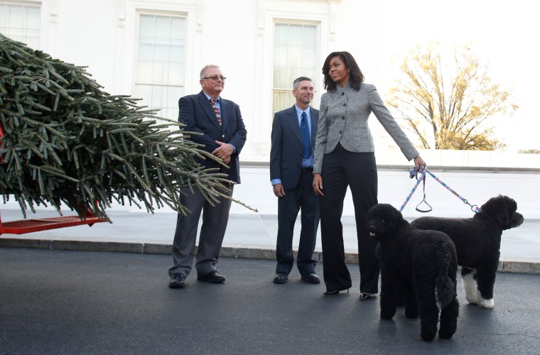 Celeb Pics Of The Week 11/21-11-27