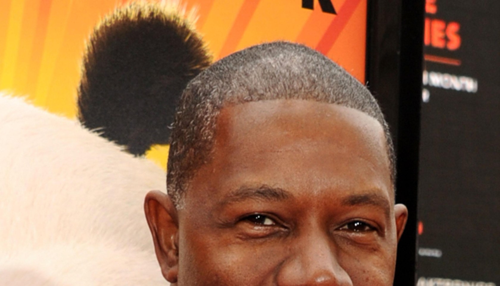 Premiere Of DreamWorks Animation's 'Kung Fu Panda 2' - Red Carpet
