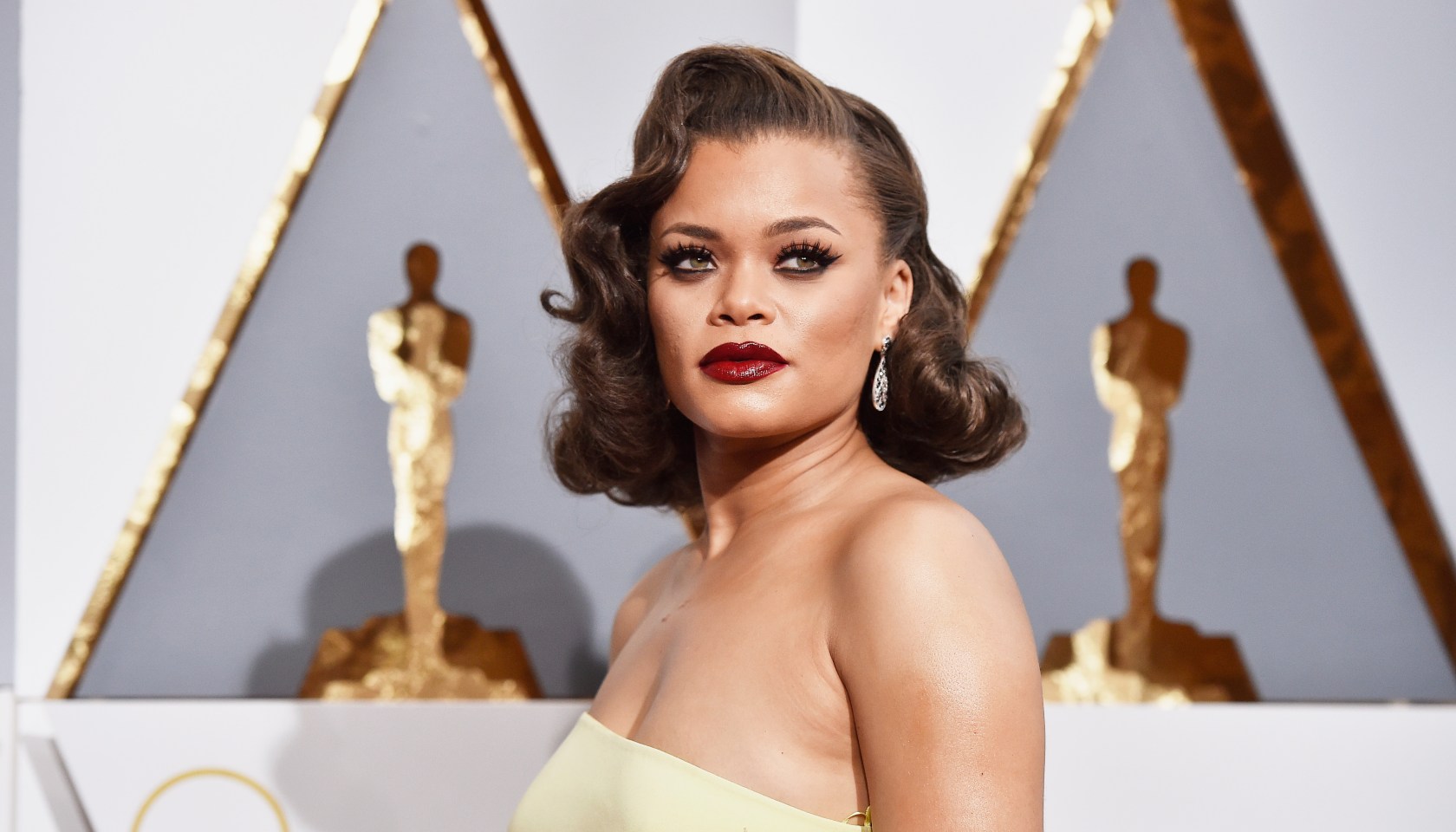 88th Annual Academy Awards - Arrivals