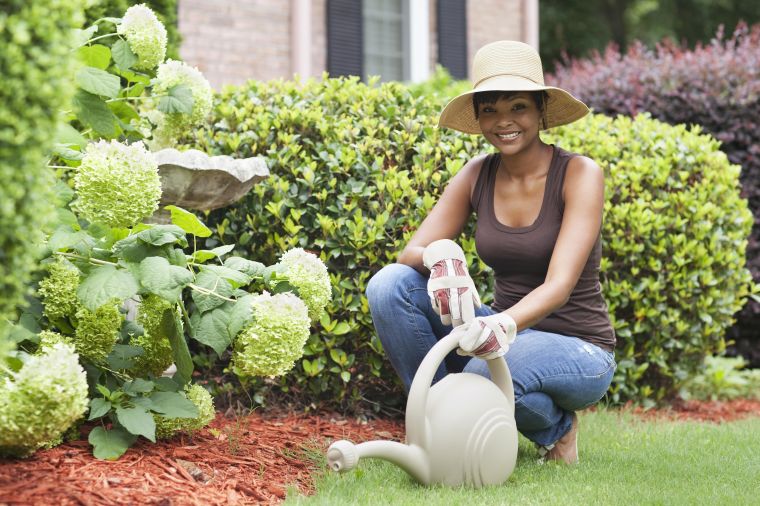 Plant seeds…literally!