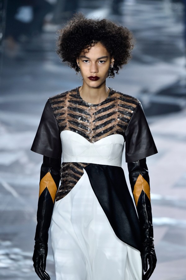 Louis Vuitton : Runway - Paris Fashion Week Womenswear Fall/Winter 2016/2017