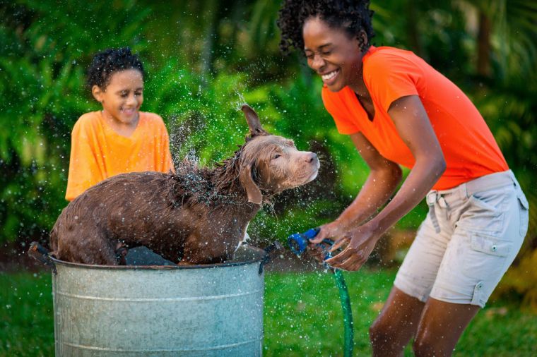 For The Mom That Loves Her Furbaby