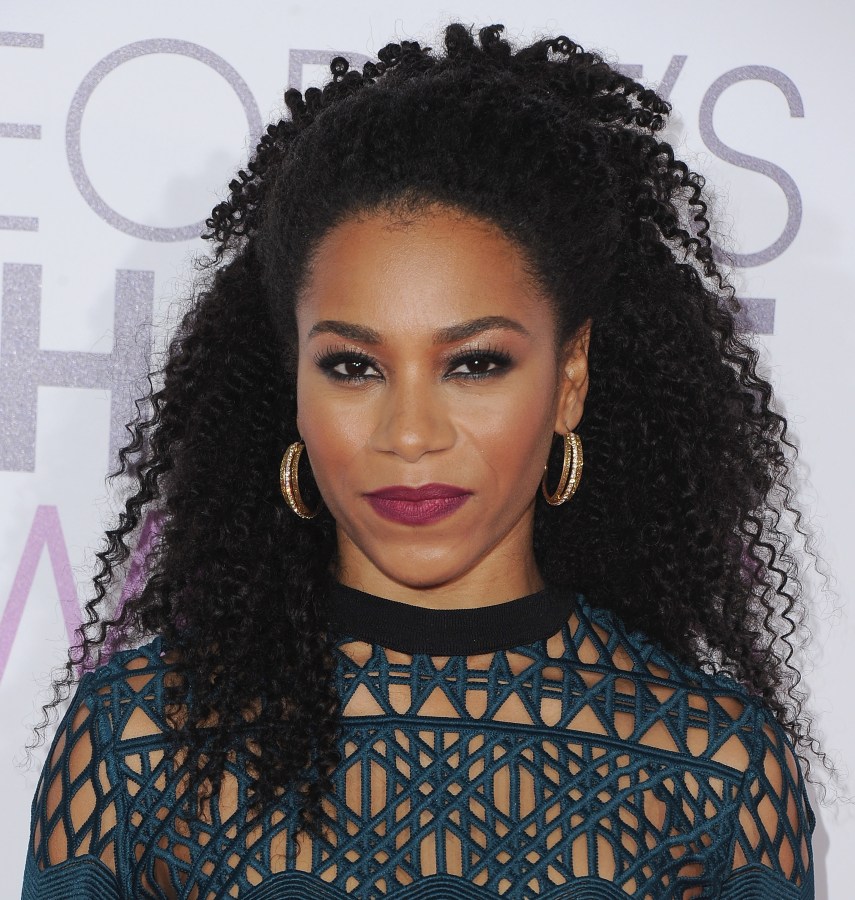 People's Choice Awards 2017 - Arrivals
