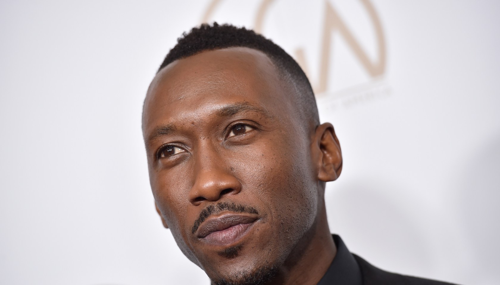 28th Annual Producers Guild Awards - Arrivals