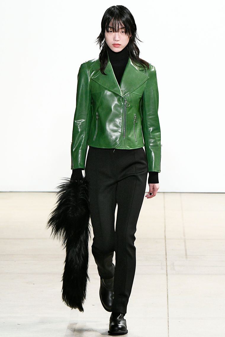 CREATURES OF THE WIND