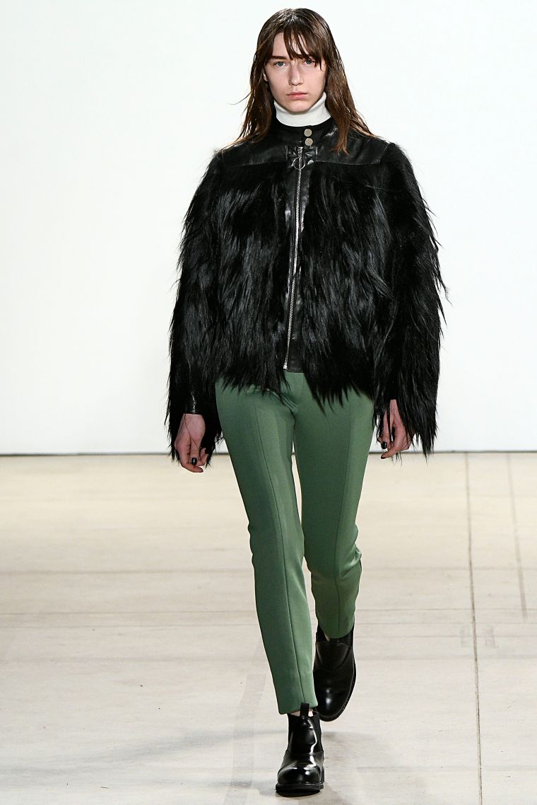 CREATURES OF THE WIND