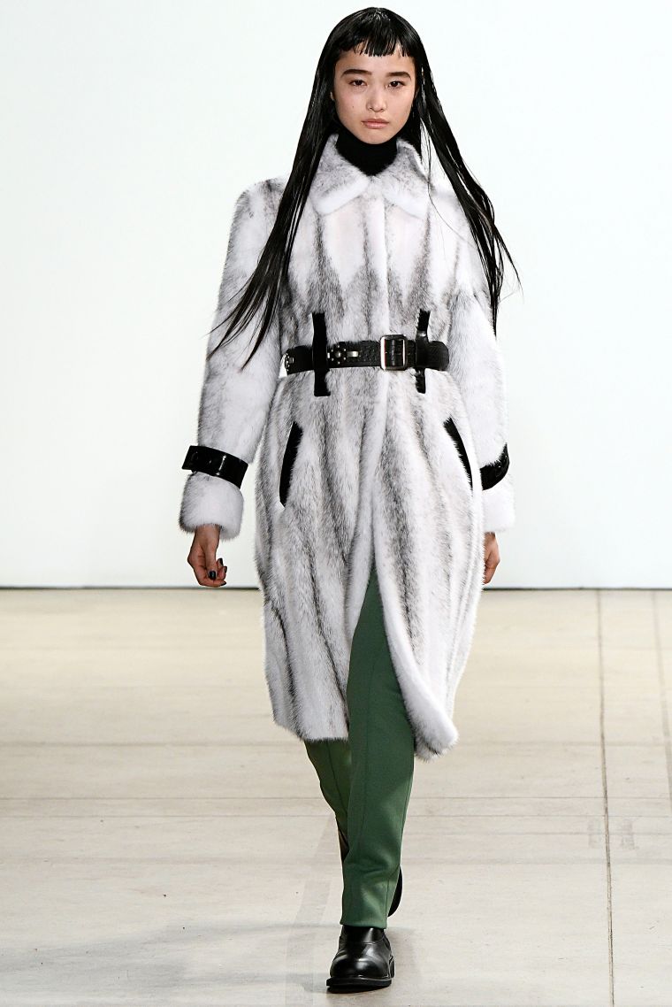 CREATURES OF THE WIND