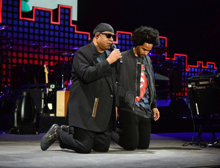 Stevie Wonder, singer