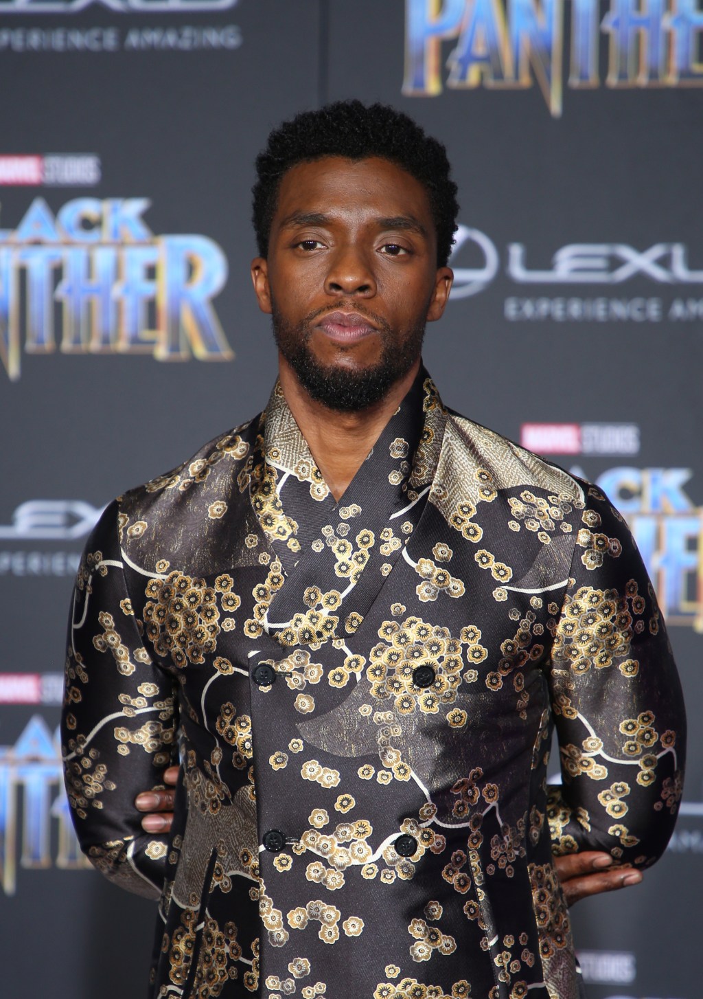 World Premiere of Marvel Studios Black Panther