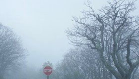 Stop sign in Shenandoah national park