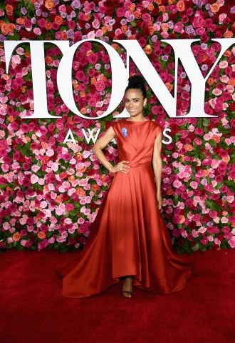 2018 Tony Awards - Red Carpet