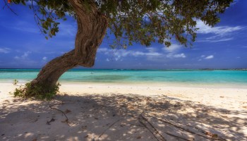 Beach Aruba ABC Islands Netherlands Antilles Caribbean Central America