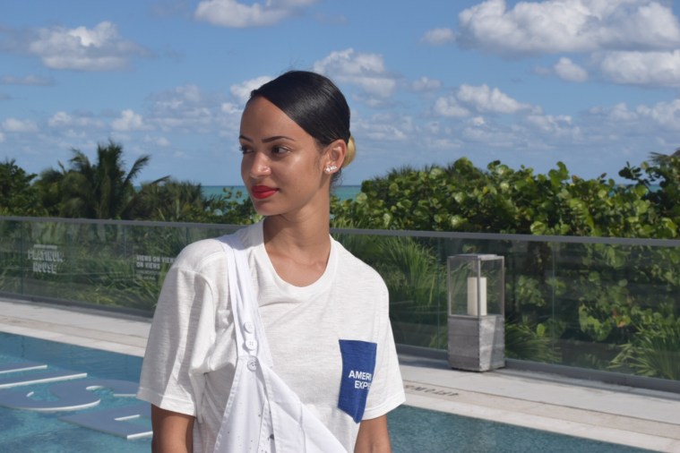 THE AMERICAN EXPRESS PLATINUM HOUSE