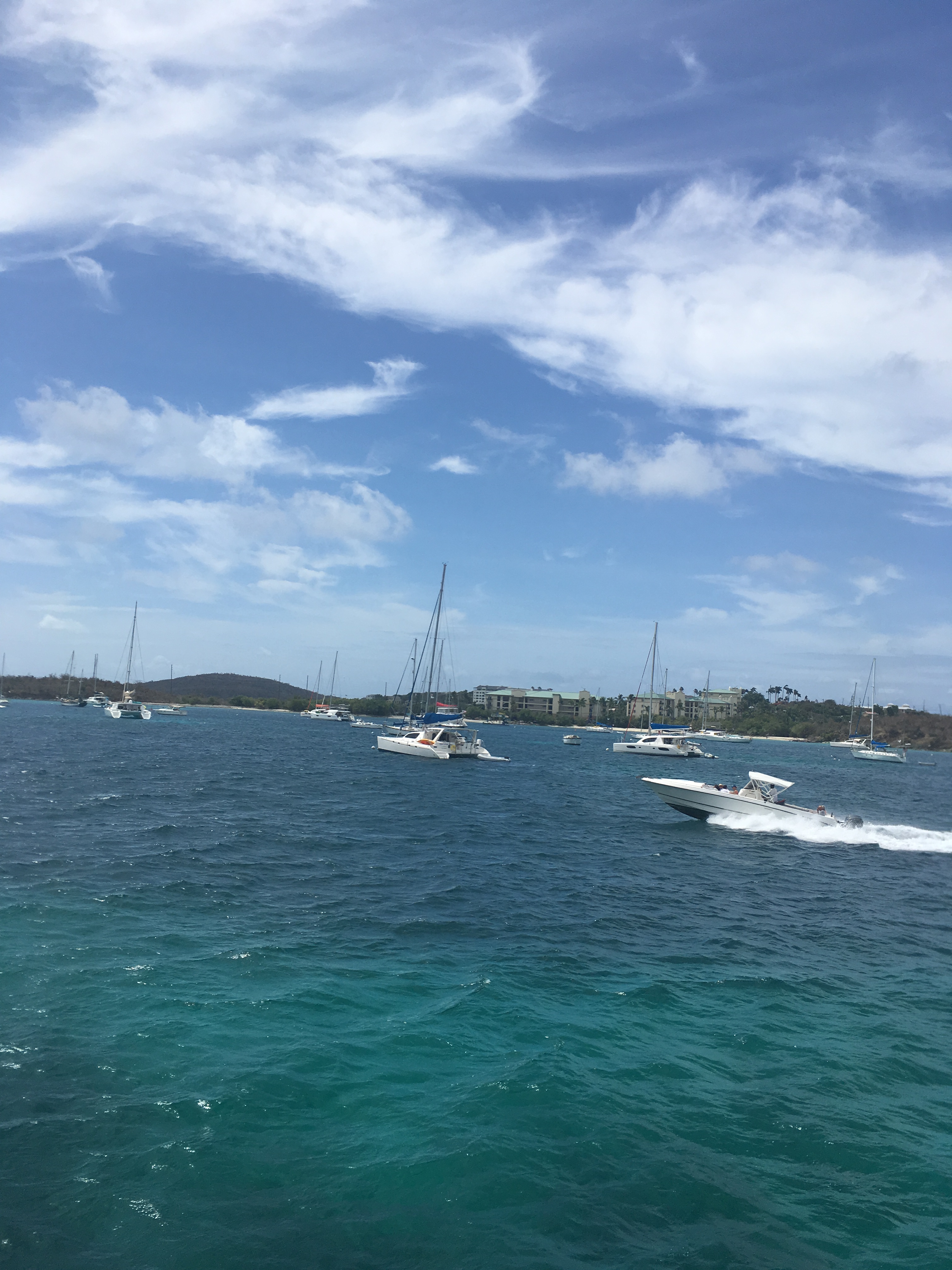 USVI Carnival Experience