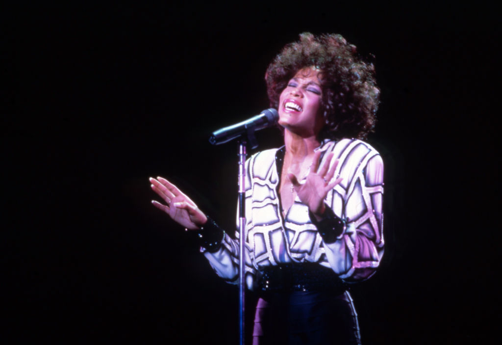Whitney Houston In Clarkston, MI