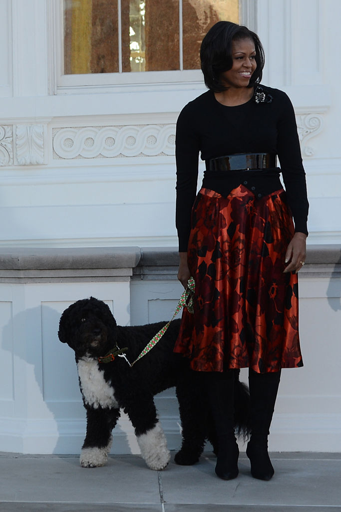 MICHELLE OBAMA RECEIVED THE WHITE HOUSE CHRISTMAS TREE, 2012