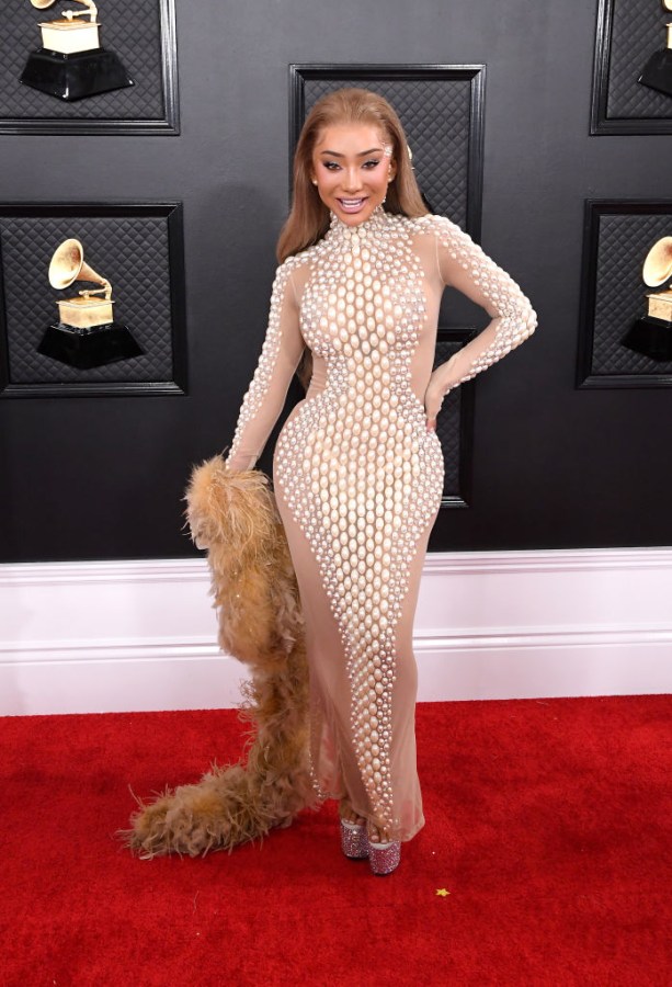 62nd Annual GRAMMY Awards - Arrivals