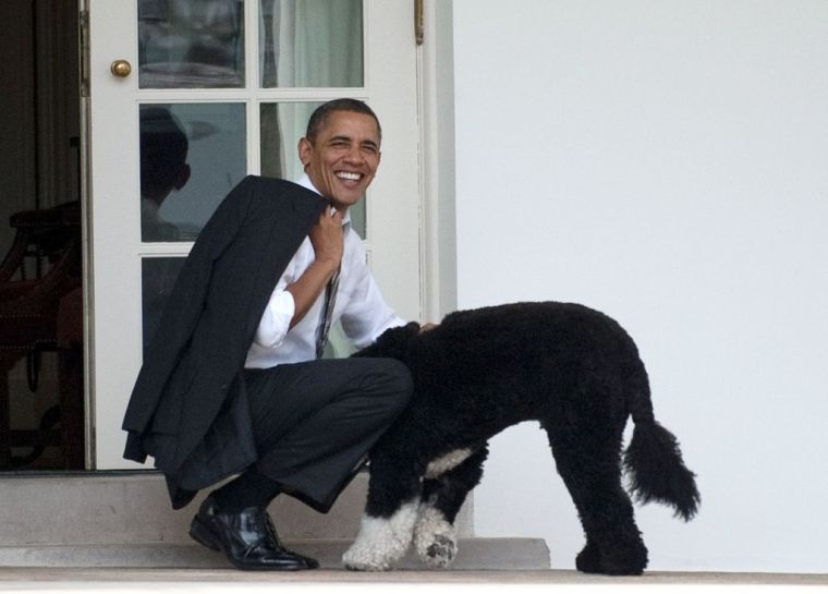 BARACK OBAMA ENGAGES WITH THE FAMILY DOG, 2012