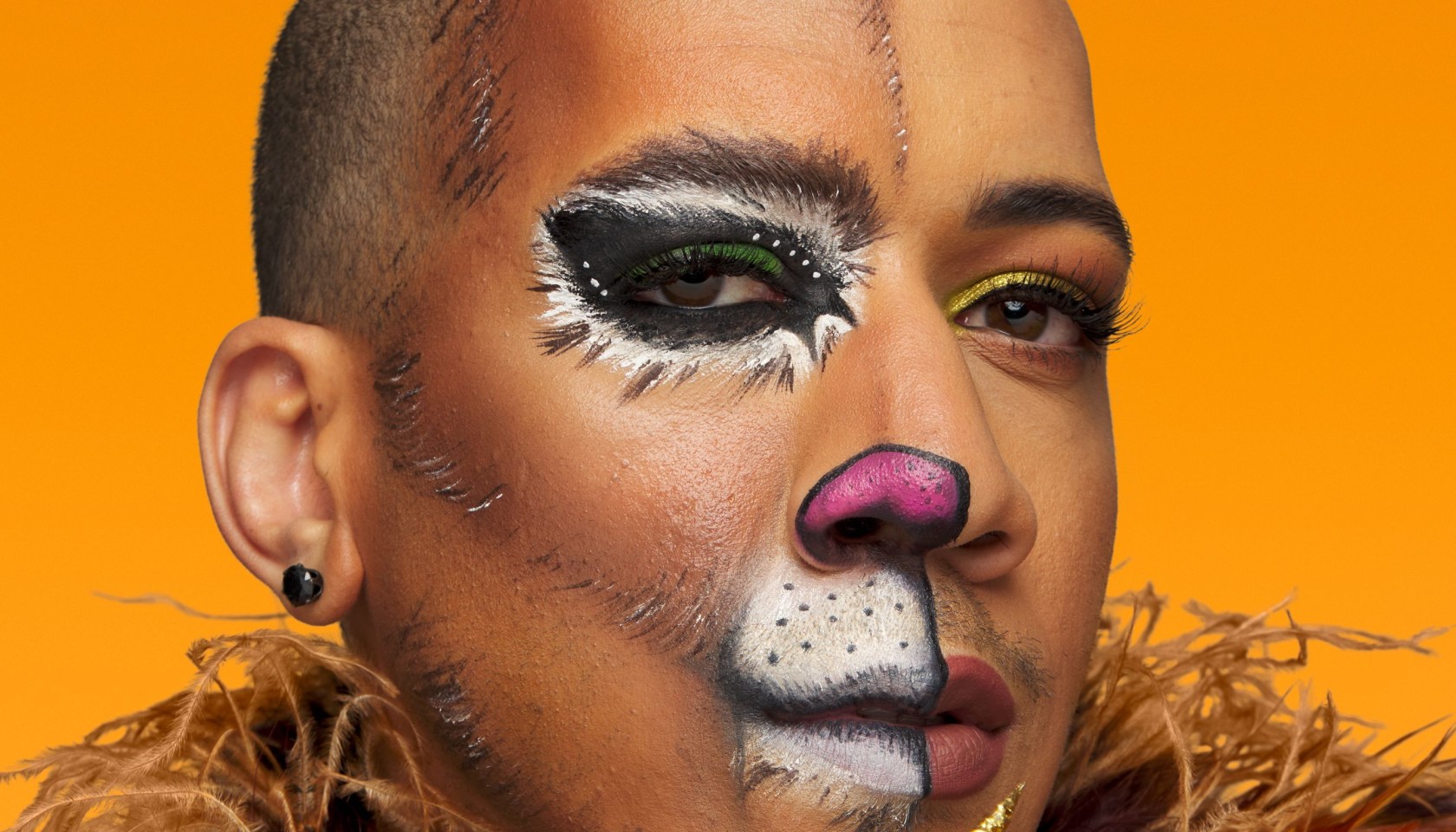 Cowardly Lion Halloween Makeup