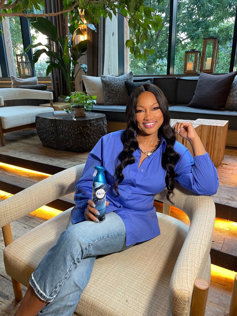 Garcelle Beauvais for febreeze