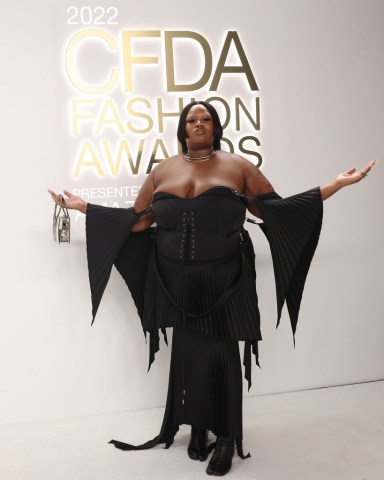 CFDA Fashion Awards - Arrivals