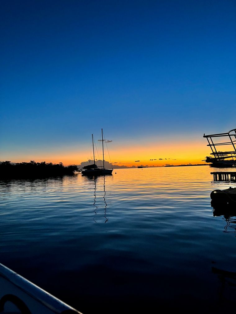Bioluminescent Bay Tour by Paradise Scuba & Snorkeling