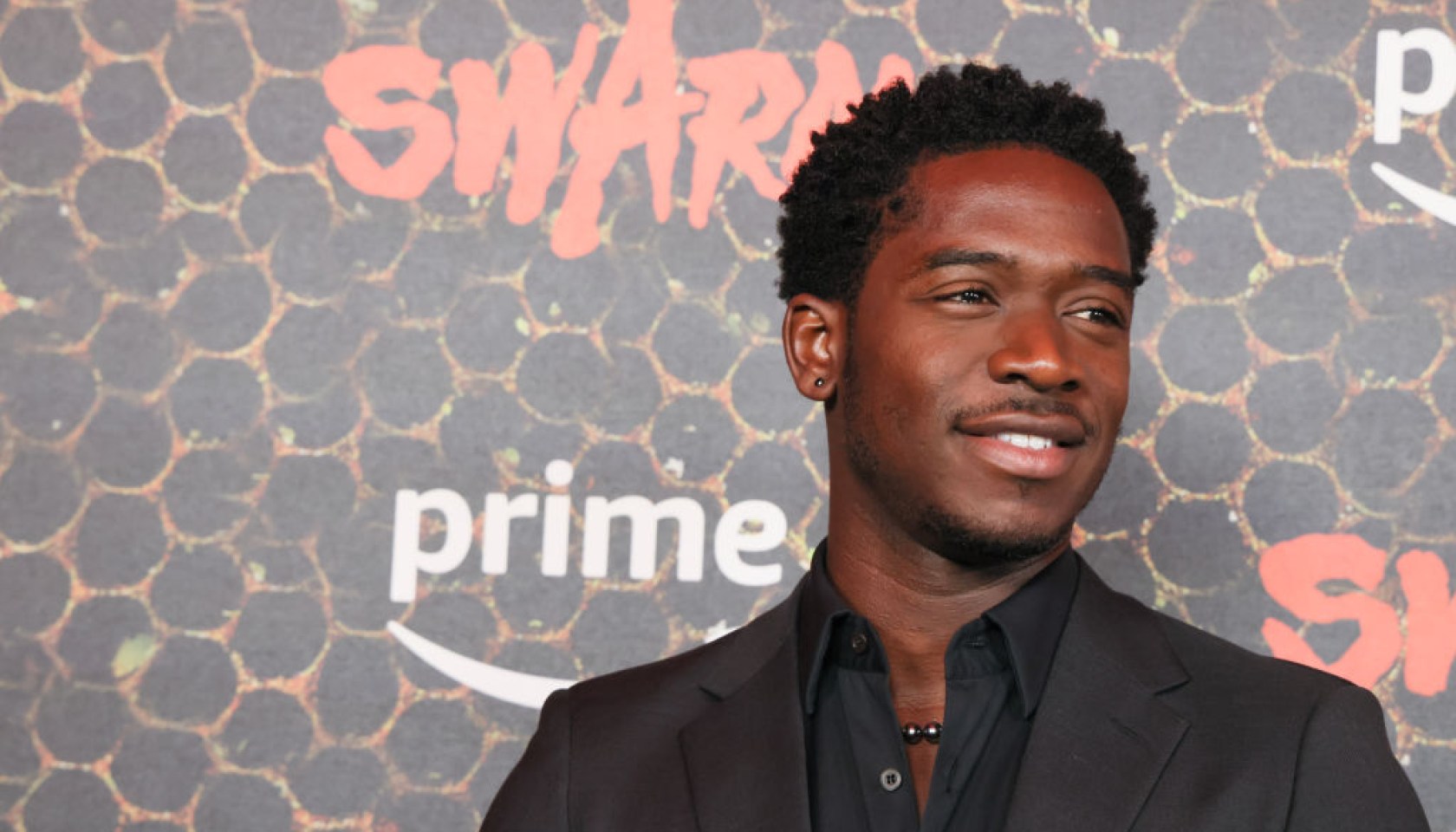 Los Angeles Premiere Of Prime Video's "Swarm" - Arrivals