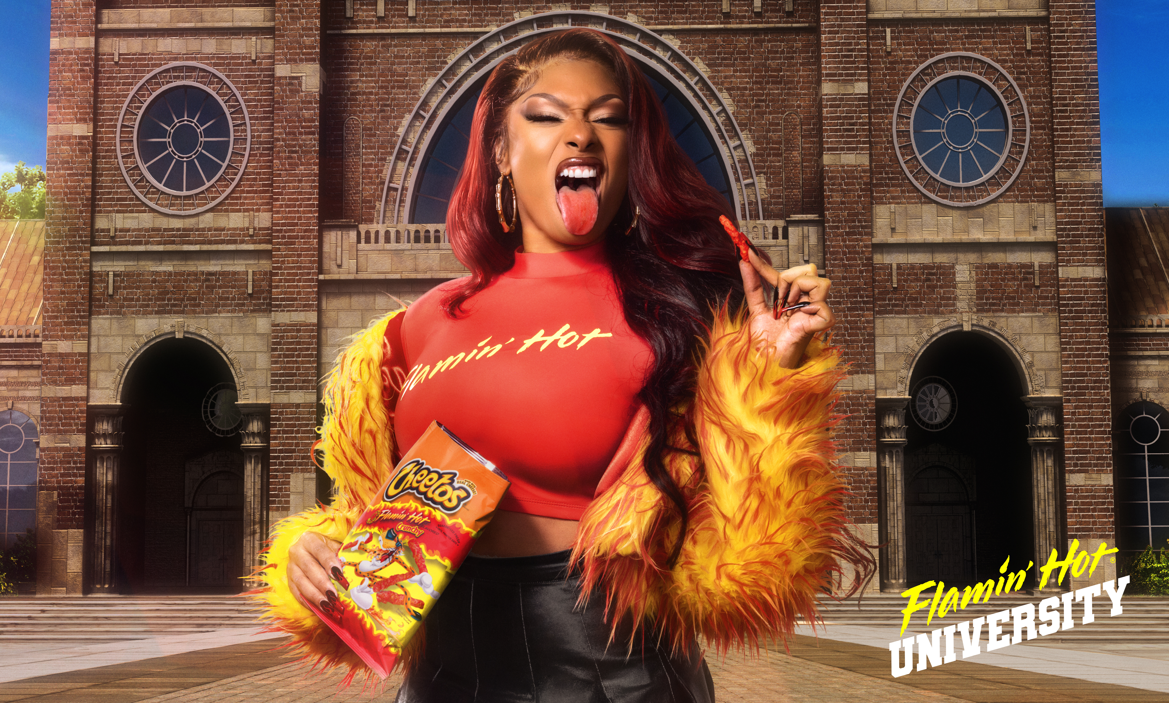 Megan thee stallion flaming hot Cheetos