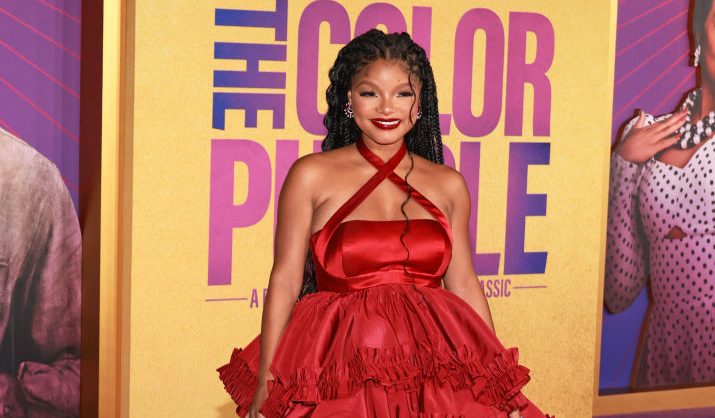 halle bailey baby World Premiere Of Warner Bros.' "The Color Purple" - Arrivals