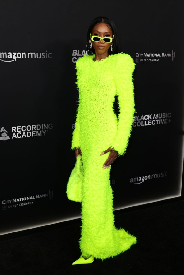 2024 Recording Academy Honors Presented By The Black Music Collective - Arrivals