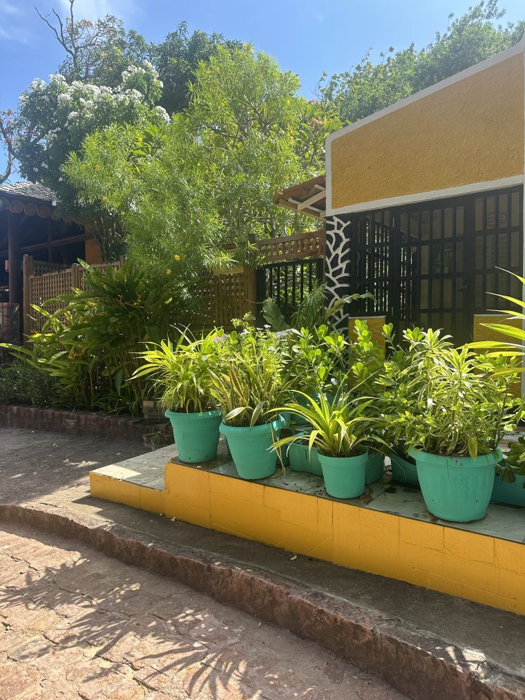 Dance At The Carnival Parade Concerts 