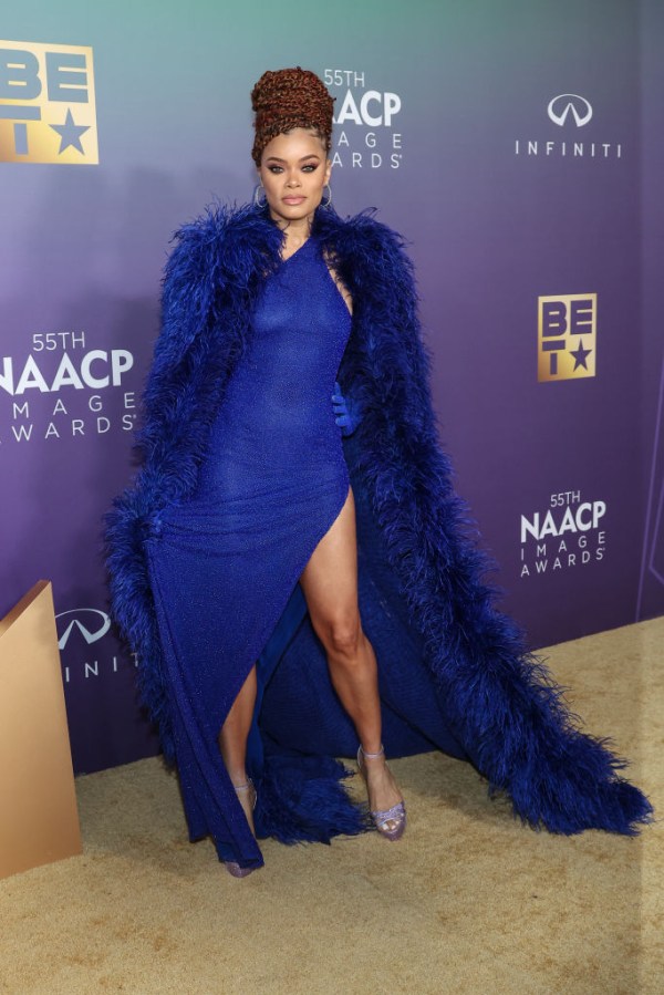 55th NAACP Image Awards - Arrivals