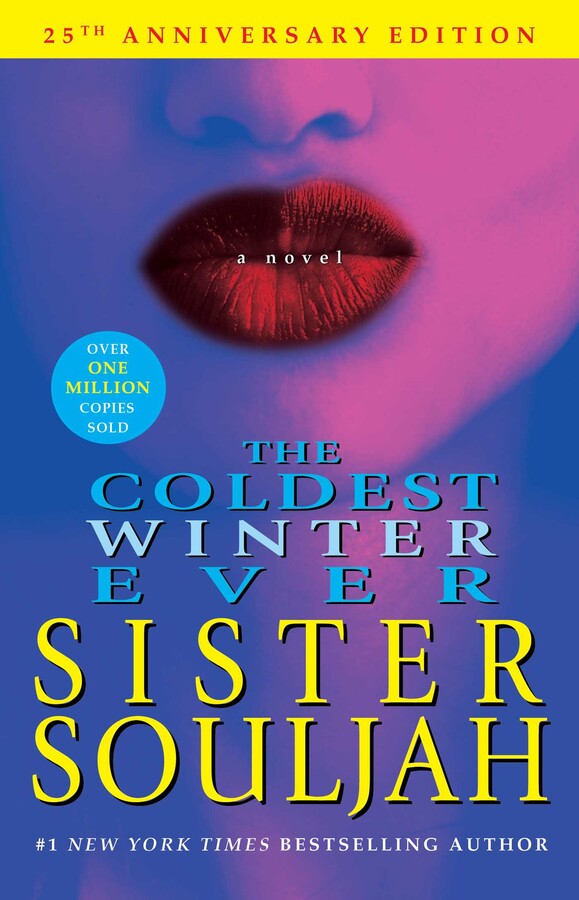 The Coldest Winter Ever A Novel