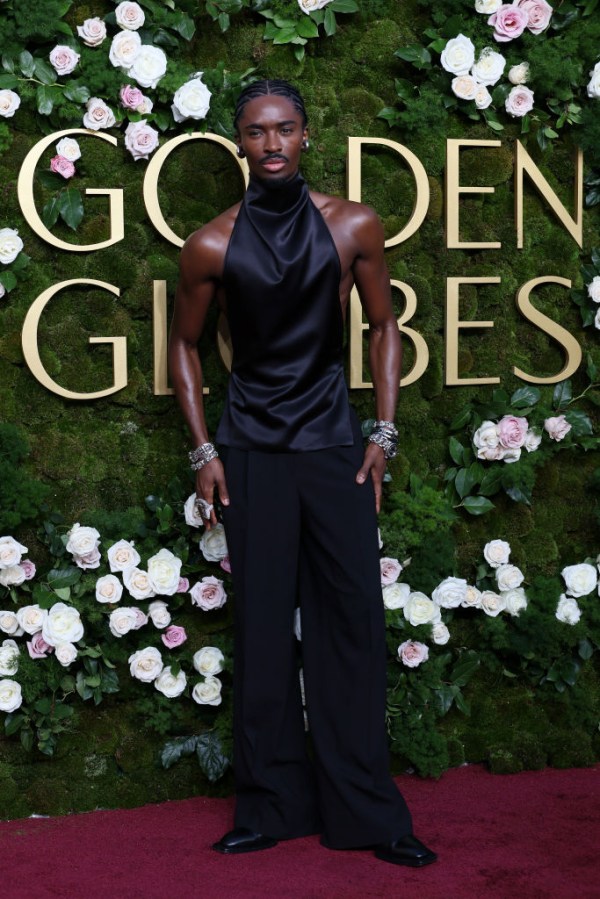 82nd Golden Globe Awards Red Carpet