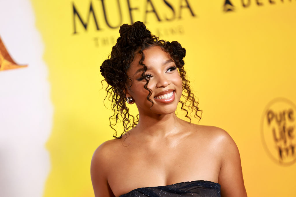 Los Angeles Premiere Of Disney's "Mufasa: The Lion King"