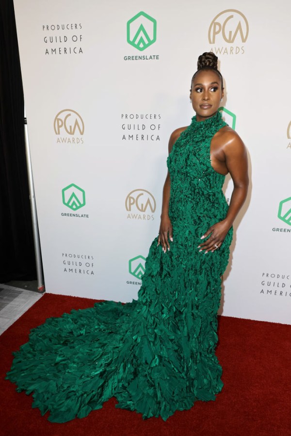 33rd Annual Producers Guild Awards - Arrivals