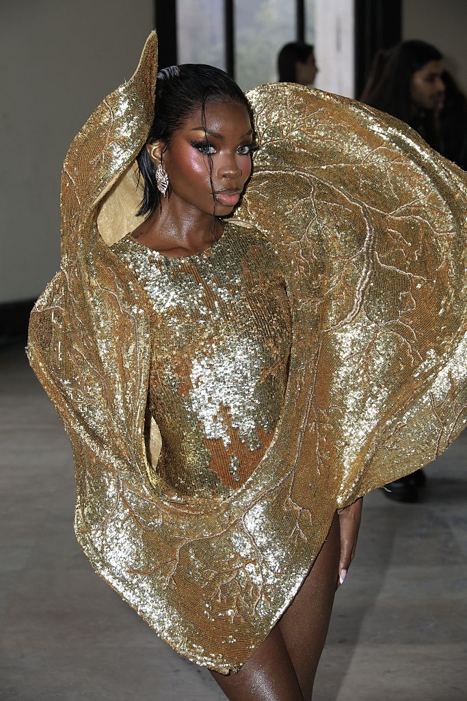 Rahul Mishra - Front Row - Paris Fashion Week - Haute Couture Week Spring/Summer 2026