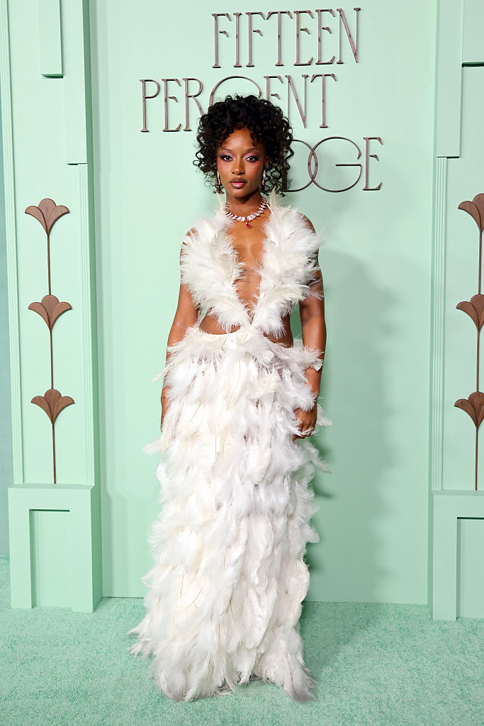 Annual Fifteen Percent Pledge Fundraising Gala Honoring Ms. Tina Knowles